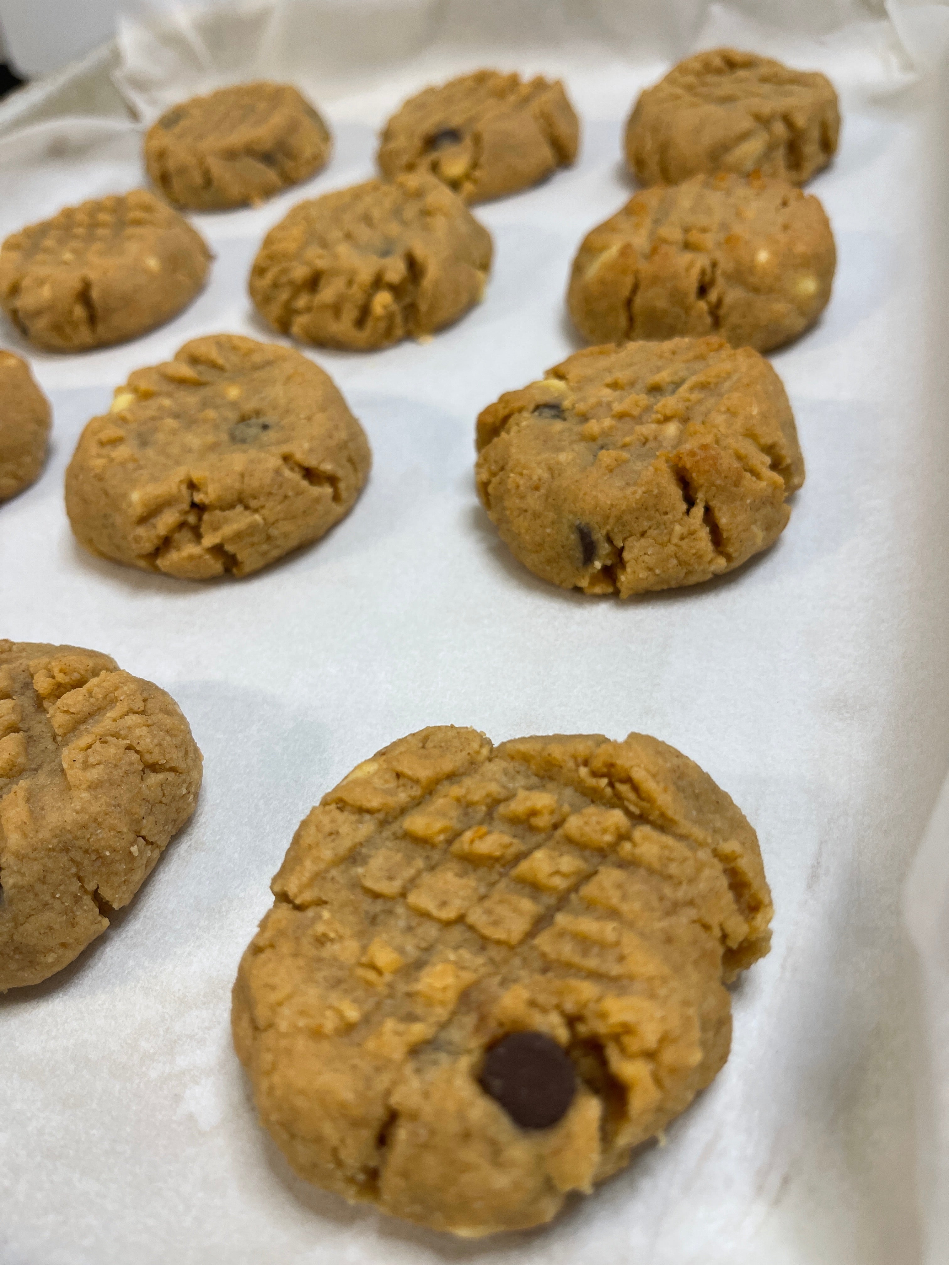 Keto Cookies - Peanut Butter Chocolate Chip Cookies